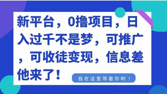 不要再花冤枉钱了，0撸项目，每天坚持，稳定1000+-知识创作