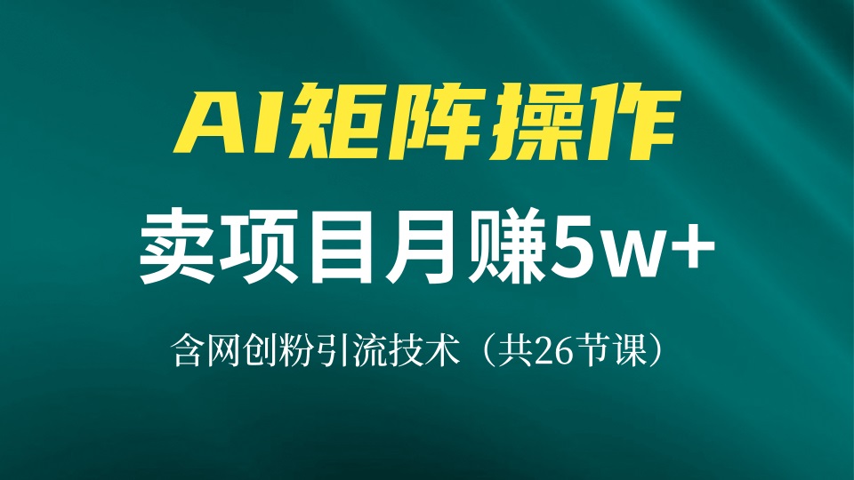 网创IP打造课，借助AI卖项目月赚5万+，含引流技术(共26节课-知识创作