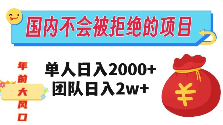 在国内不怕被拒绝的项目，单人日入2000，团队日入20000+【揭秘】-知识创作