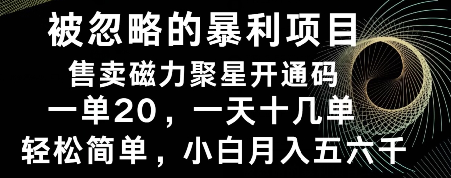 被忽略的暴利项目！售卖磁力聚星开通码，一单20，一天十几单，轻松月入五六千-知识创作