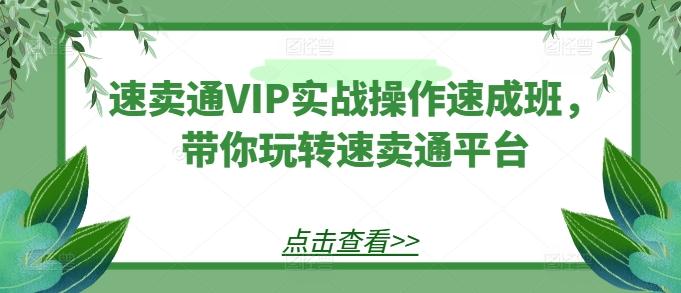 速卖通VIP实战操作速成班，带你玩转速卖通平台-知识创作