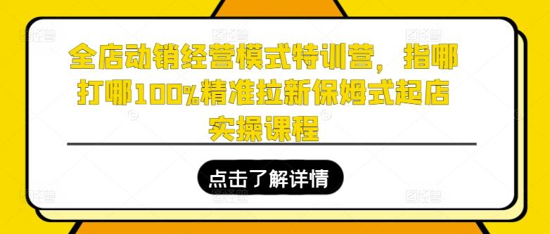 全店动销经营模式特训营，指哪打哪100%精准拉新保姆式起店实操课程-知识创作