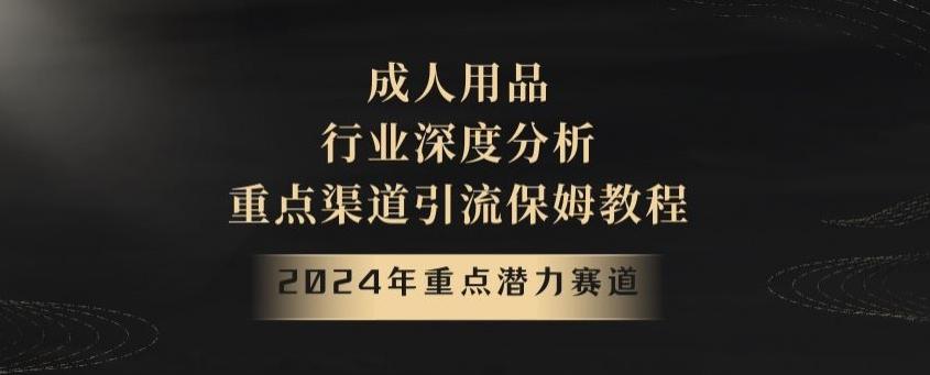 2024年重点潜力赛道，成人用品行业深度分析，重点渠道引流保姆教程【揭秘】-知识创作