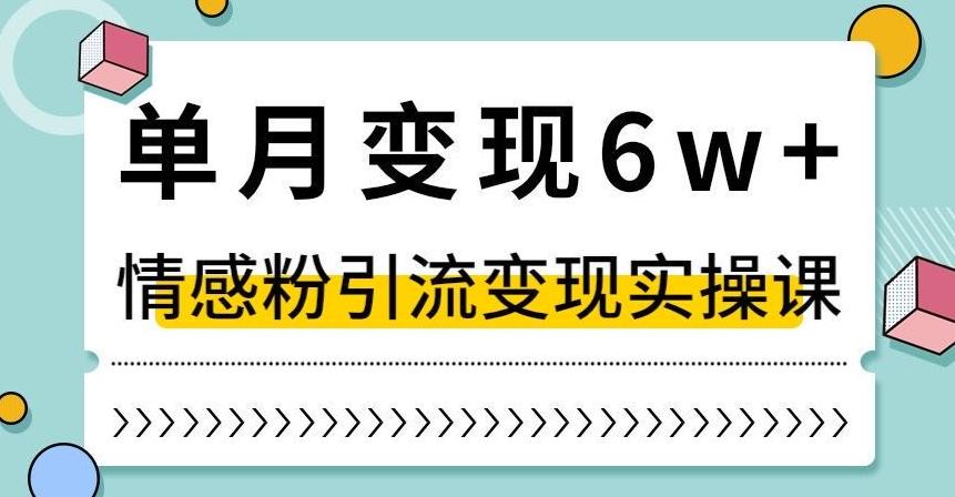 单月变现6W+，抖音情感粉引流变现实操课，小白可做，轻松上手，独家赛道【揭秘】-知识创作