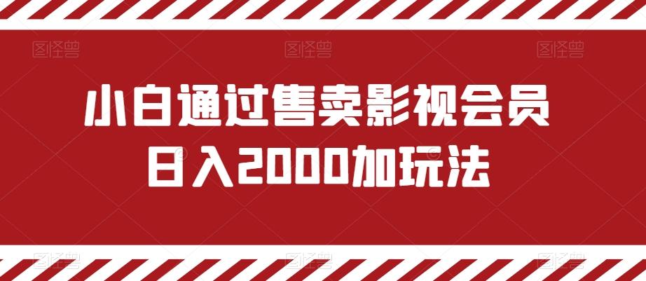 小白通过售卖影视会员日入2000加玩法-知识创作