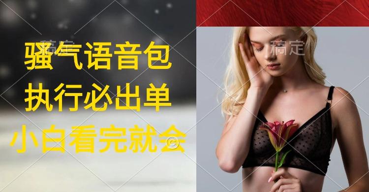 (9589期)执行就出单，日入2000+，超火骚气语音包，小白看完课程就能马上实操-知识创作