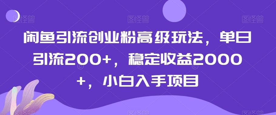 闲鱼引流创业粉高级玩法，单日引流200+，稳定收益2000+，小白入手项目-知识创作