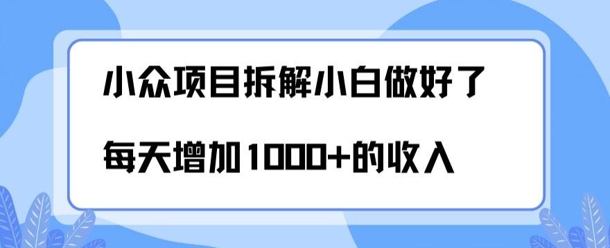小众项目拆解，小白做好了每天可增加1000多的收入-知识创作