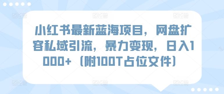 小红书最新蓝海项目，网盘扩容私域引流，暴力变现，日入1000+(附100T占位文件)【揭秘】-知识创作