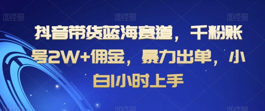 抖音带货蓝海赛道，千粉账号2W+佣金，暴力出单，小白1小时上手【揭秘】-知识创作