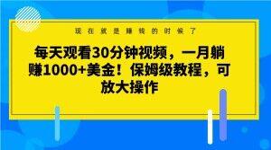 每天观看30分钟视频，一月躺赚1000+美金！保姆级教程，可放大操作【揭秘】-知识创作