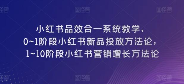 小红书品效合一系统教学，​0~1阶段小红书新品投放方法论，​1~10阶段小红书营销增长方法论-知识创作
