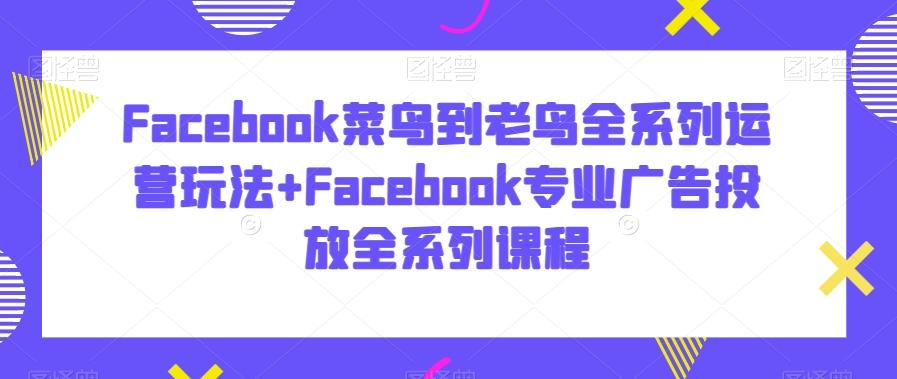 Facebook菜鸟到老鸟全系列运营玩法+Facebook专业广告投放全系列课程-知识创作