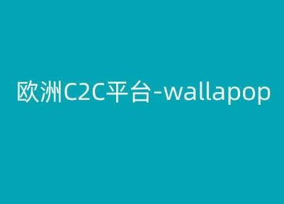 欧洲C2C平台-wallapop-kim跨境电商教程-知识创作