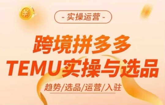 跨境拼多多TEMU实操与选品，多多temu跨境选品运营实操-知识创作