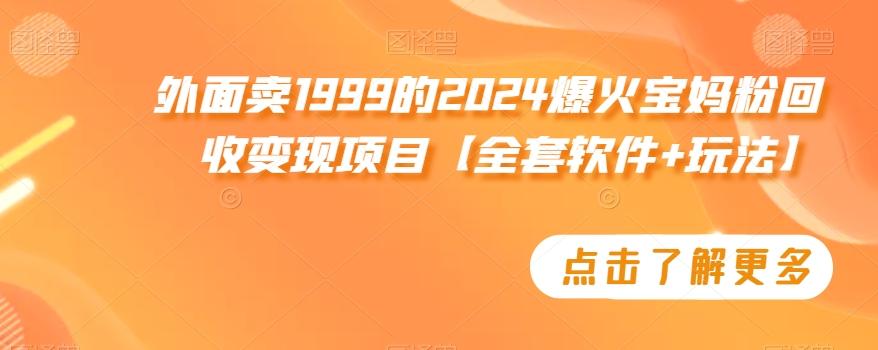 外面卖1999的2024爆火宝妈粉回收变现项目【全套软件+玩法】【揭秘】-知识创作