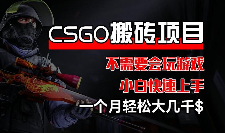CSGO 装备搬砖项目，操作简单，不需要会玩游戏，小白也能快速上手，一个月轻松大几千【揭秘】-知识创作