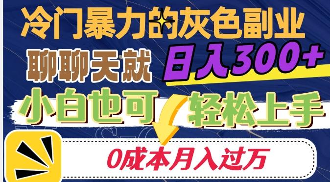 冷门暴利的副业项目，聊聊天就能日入300+，0成本月入过万【揭秘】-知识创作