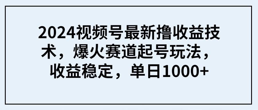 (9651期) 2024视频号最新撸收益技术，爆火赛道起号玩法，收益稳定，单日1000+-知识创作