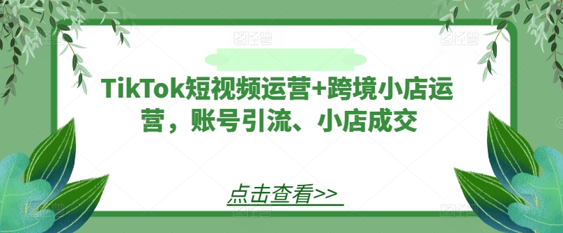 TikTok短视频运营+跨境小店运营，账号引流、小店成交-知识创作