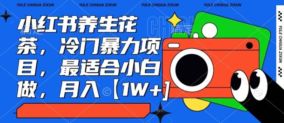 小红书养生花茶，冷门暴力项目，最适合小白做，月入【1W+】-知识创作