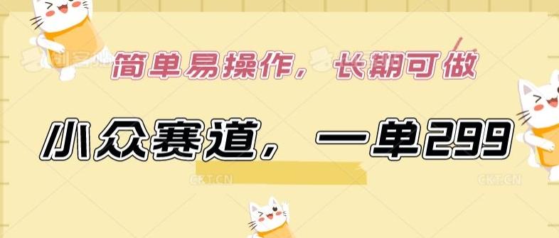 小众赛道，一单299.简单易操作，长期可做【揭秘】-知识创作