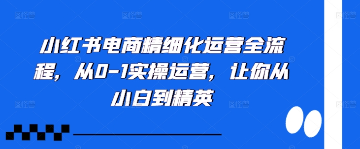 小红书电商精细化运营全流程，从0-1实操运营，让你从小白到精英-知识创作