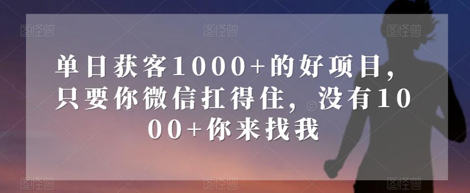 单日获客1000+的好项目，只要你微信扛得住，没有1000+你来找我【揭秘】-知识创作