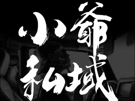 小爷·私域项目操盘手-知识创作