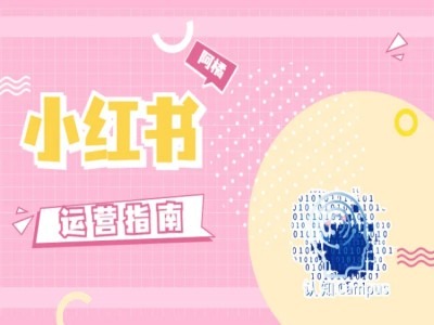 小红书运营指南，没有套路，全是经验-知识创作