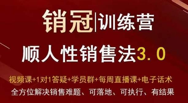 爆款！销冠训练营3.0之顺人性销售法，全方位解决销售难题、可落地、可执行、有结果-知识创作