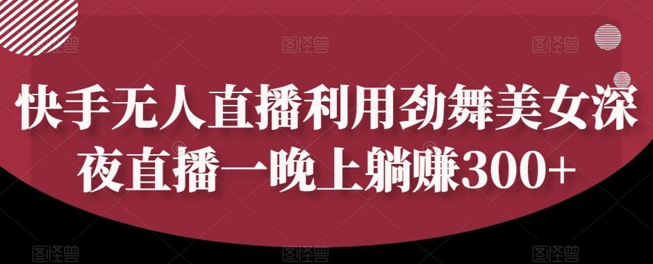 快手无人直播利用劲舞美女深夜直播一晚上躺赚300+-知识创作