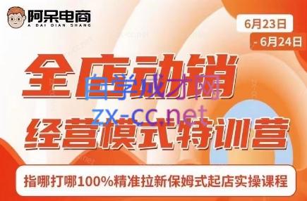 阿呆电商·全店动销经营模式特训营(线下录音+思维导图)-知识创作