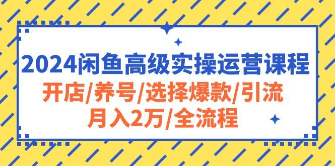 2024闲鱼高级实操运营课程：开店/养号/选择爆款/引流/月入2万/全流程-知识创作