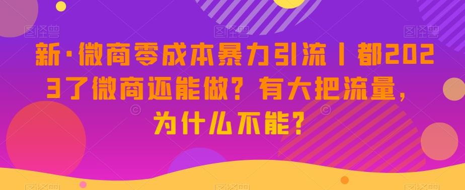 新·微商零成本暴力引流丨都2023了微商还能做？有大把流量，为什么不能？-知识创作
