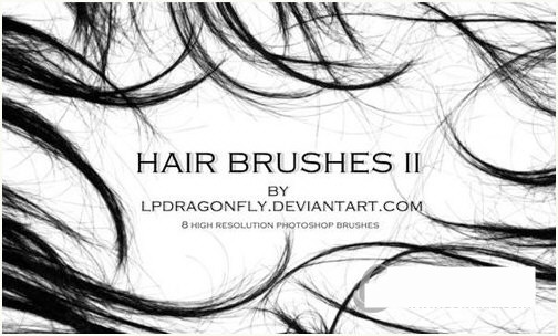 PS发丝笔刷-知识创作