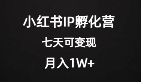 价值2000+的小红书IP孵化营项目，超级大蓝海，七天即可开始变现，稳定月入1W+-知识创作