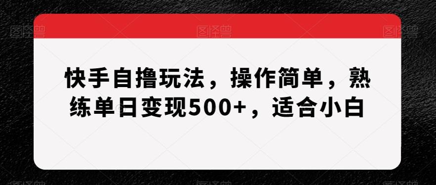 快手自撸玩法，操作简单，熟练单日变现500+，适合小白【揭秘】-知识创作