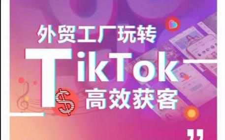 外贸工厂玩转TikTok高效获客，多种引流方式与账号定位技巧，拆解爆款短视频打造成功案例-知识创作