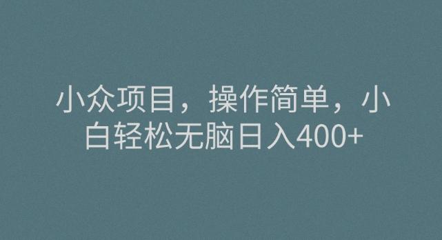 小众项目，操作简单，小白轻松无脑日入400+-知识创作