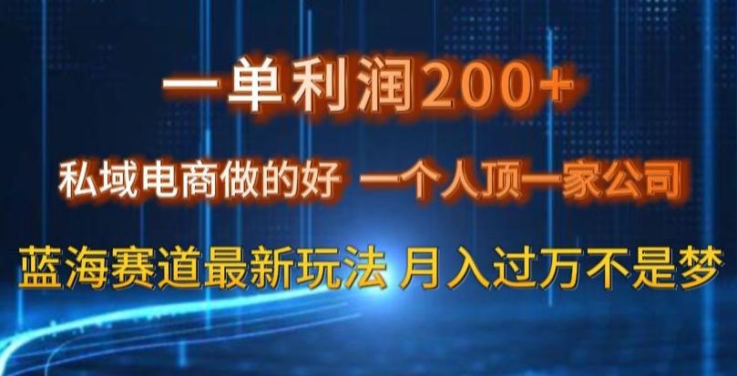 一单利润200私域电商做的好，一个人顶一家公司蓝海赛道最新玩法【揭秘】-知识创作