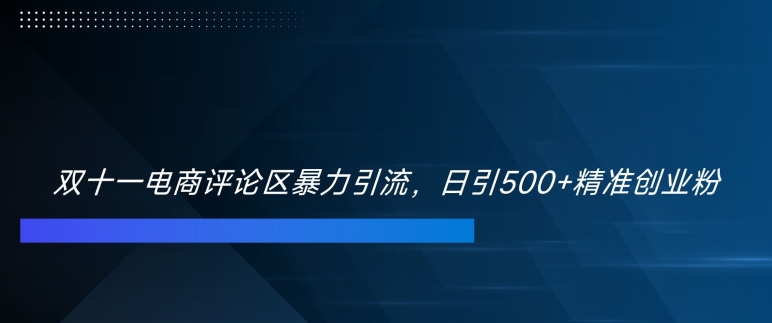 双十一电商评论区暴力引流，日引500+精准创业粉【揭秘】-知识创作