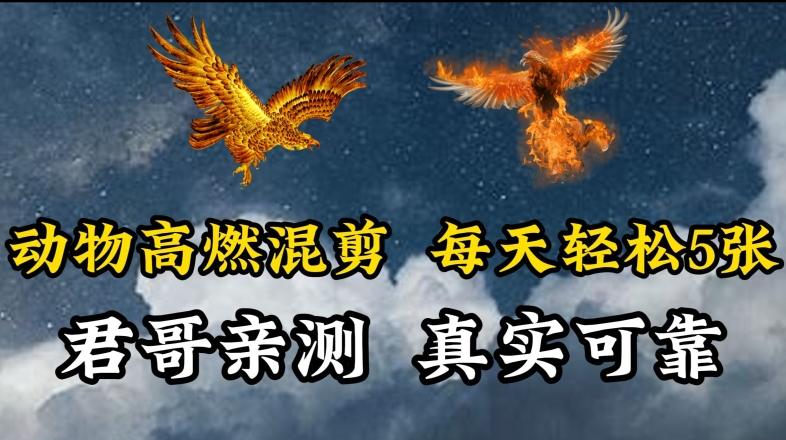 动物超燃混剪，每天轻松5张，剪辑简单大家爱看【揭秘】-知识创作