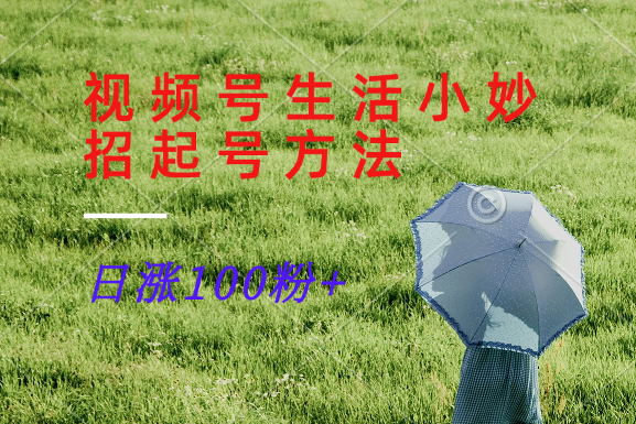 视频号生活小妙招分享赛道， 起号涨粉新方法，日涨100粉-知识创作