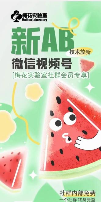 梅花实验室2024年AB技术视频号AB合成破解版-知识创作