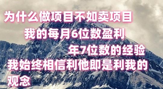 做项目不如卖项目，每月6位数盈利，年7位数经验-知识创作