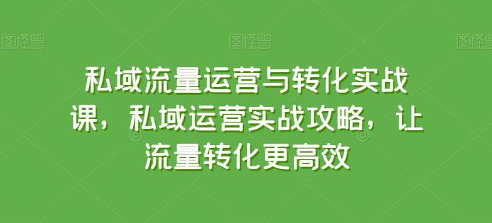 私域流量运营与转化实战课，私域运营实战攻略，让流量转化更高效-知识创作