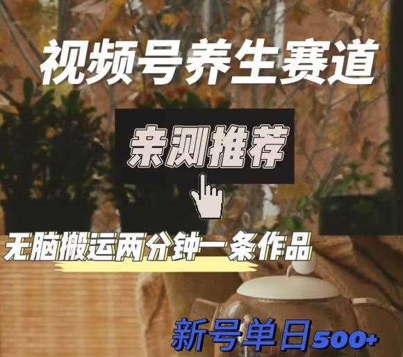 视频号养生赛道暴力掘金，无脑搬运，两分钟一条作品-新日单入500+-知识创作