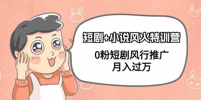 小说+短剧风火特训营，0粉短剧小说风行推广，实现月入过万-知识创作